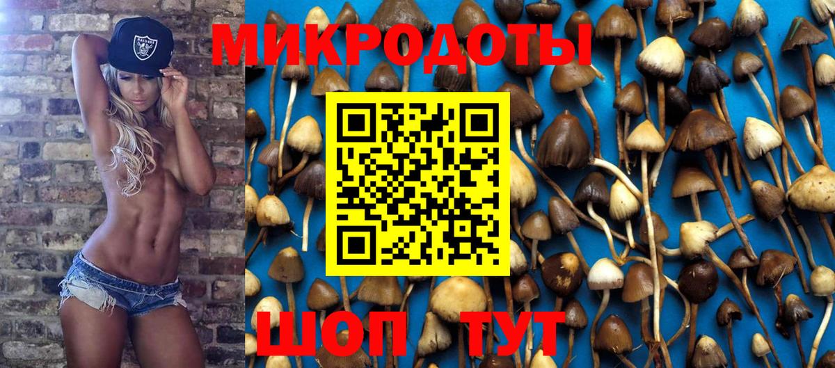 Галлюциногенные грибы Psilocybine cubensis  Галлюциногенные грибы Psilocybe  Сунжа  Вход с VPN 