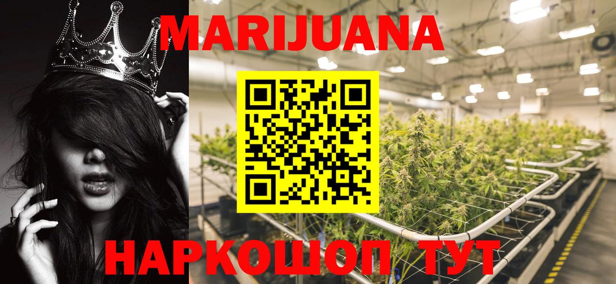 Сунжа  Бошки марихуана Ganja  Конопля Bruce Banner  Вход с VPN  Конопля White Widow  Канабис White Widow 